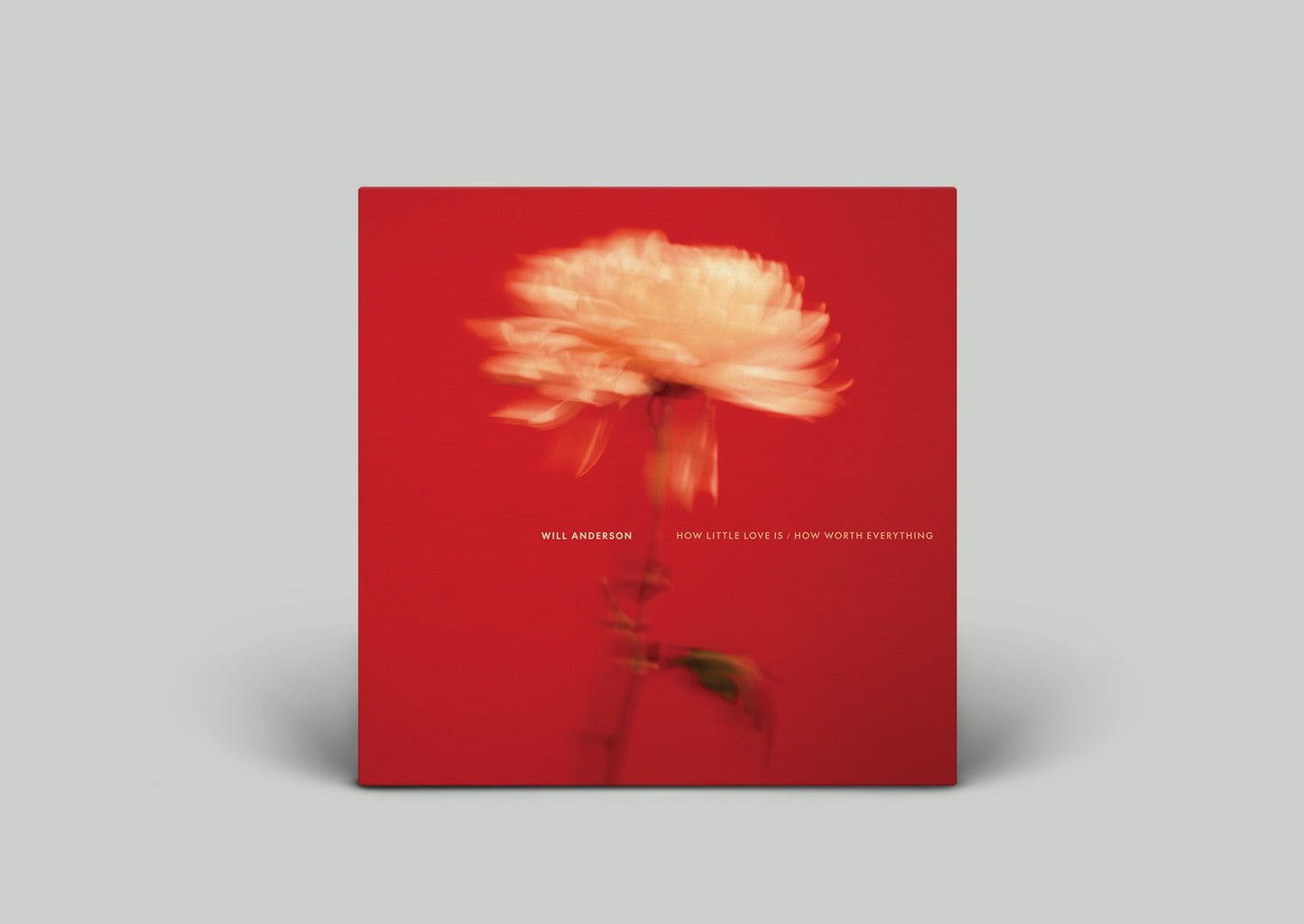 How Little Love Is / How Worth Everything - Signed Standard Vinyl
